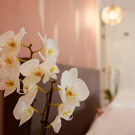 L'amarante D'hôtes Ou Citadin * Theux