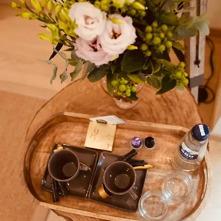 Casa de Férias L'amarante D'hôtes Ou Citadin *