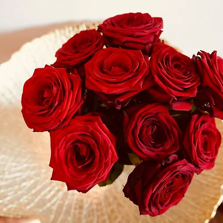 L'amarante D'hôtes Ou Citadin *