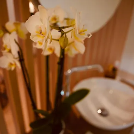 L'amarante D'hotes Ou Citadin Holiday home