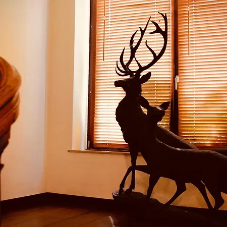 L'amarante D'hôtes Ou Citadin * Theux