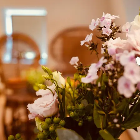 L'amarante D'hôtes Ou Citadin Casa de Férias