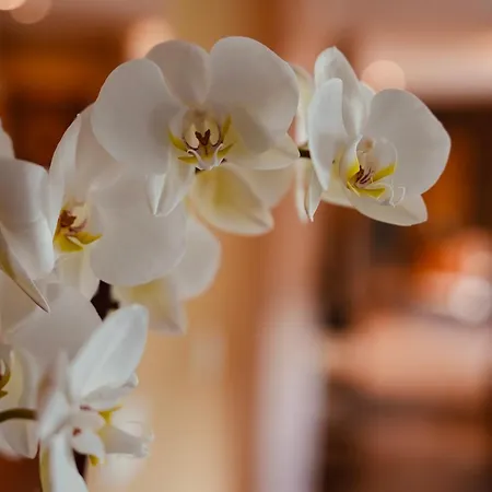 Casa de Férias L'amarante D'hôtes Ou Citadin