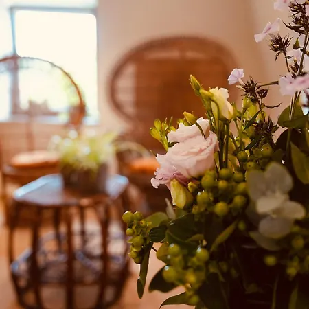 Casa de Férias L'amarante D'hôtes Ou Citadin *