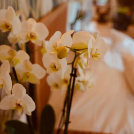 Casa de Férias L'amarante D'hôtes Ou Citadin Theux