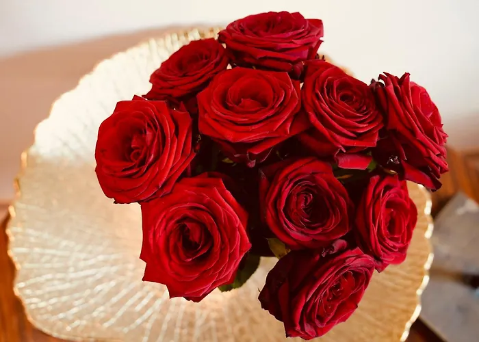 L'amarante D'hotes Ou Citadin *