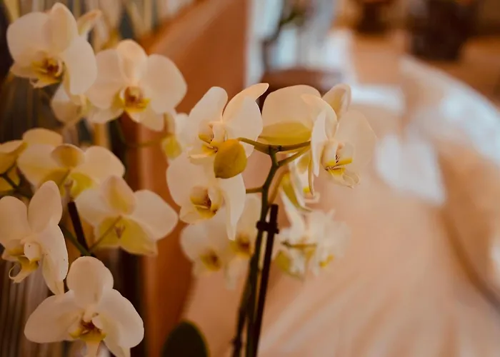 Prázdninový dům L'amarante D'hotes Ou Citadin *