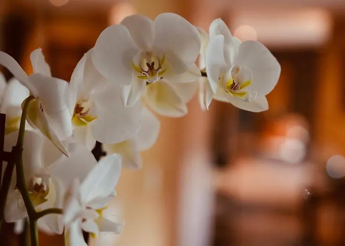 Prázdninový dům L'amarante D'hotes Ou Citadin