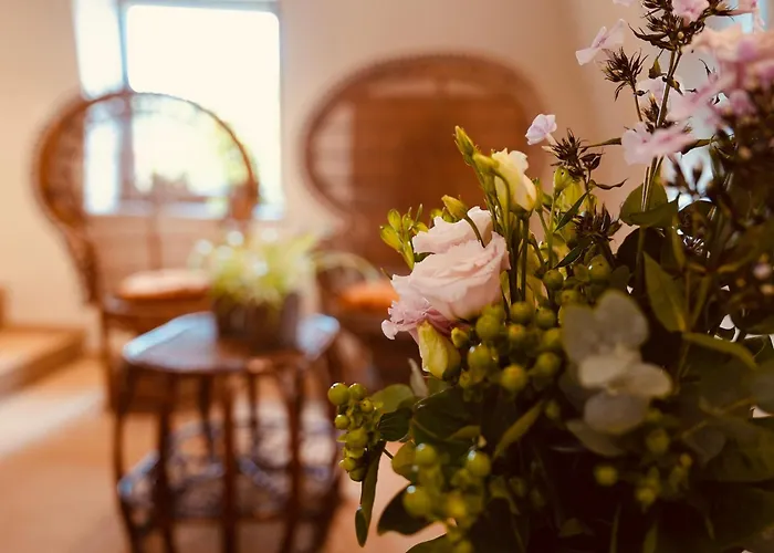 Prázdninový dům L'amarante D'hotes Ou Citadin *